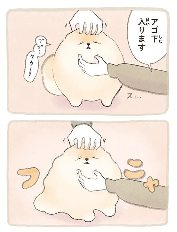 アゴ下入ります