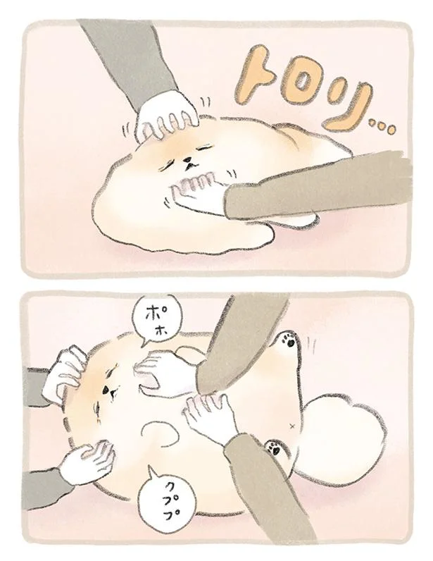 トロリ…
