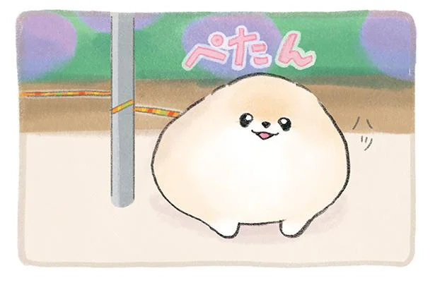 「助けてくれますよね？」お散歩中にぶつけられるポメの視線／ふわふわポメのぽぽち（5）