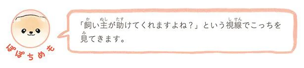 助けてくれますよね？