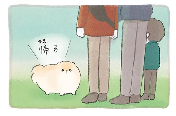 もう帰るの!? ふわふわポメをドッグランに連れて行った結果／ふわふわポメのぽぽち（6）