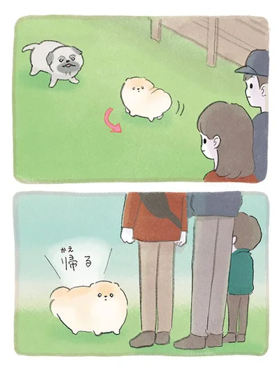 走らないぽぽち