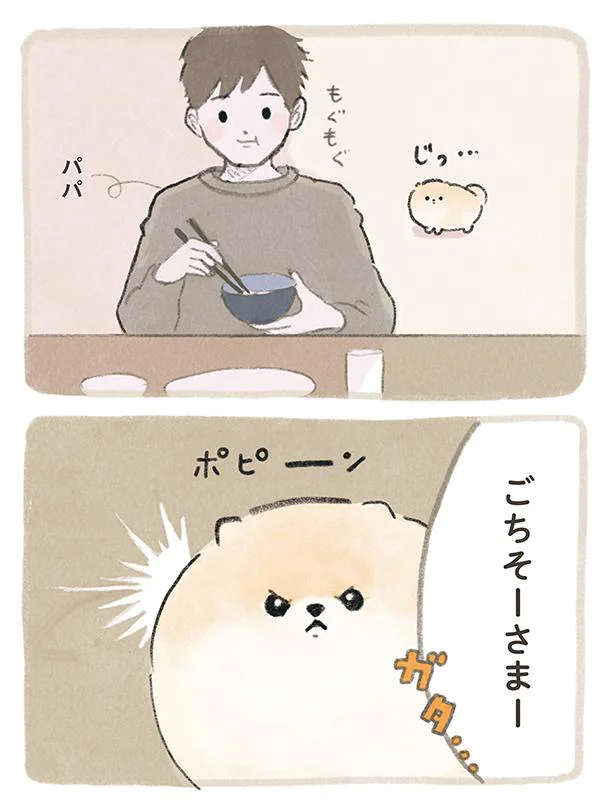 ポピーン