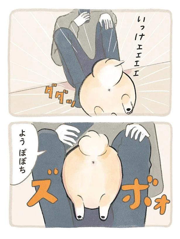 ズボォ