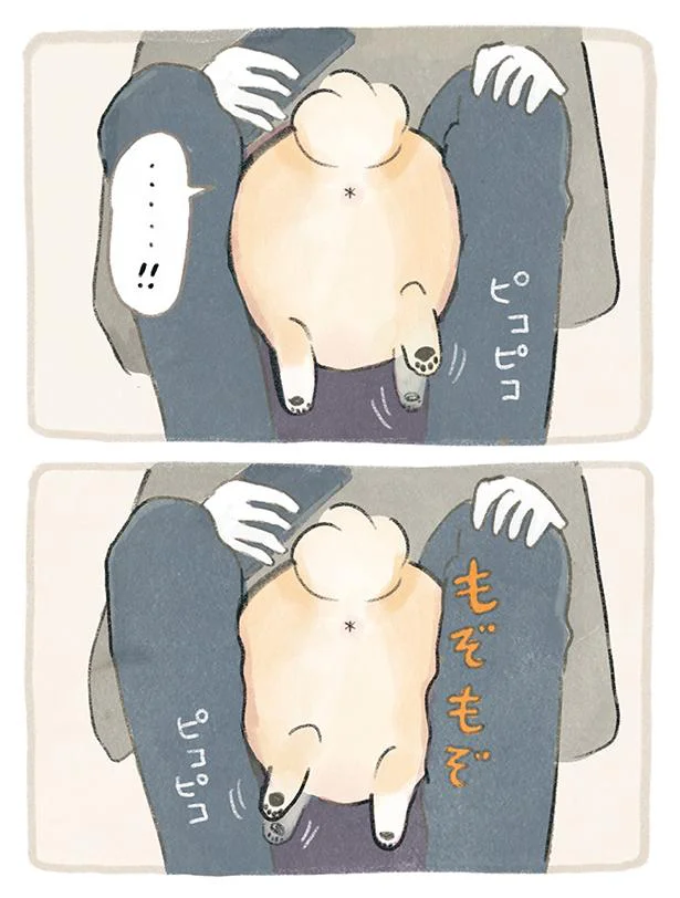 ピコピコもぞもぞ