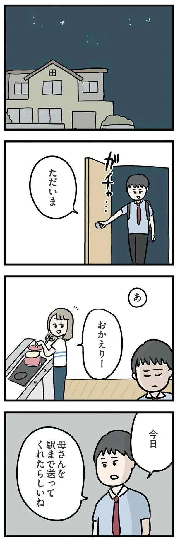 母さんを駅まで送ってくれたらしいね