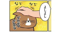 どこで気が変わるの？ 毎回デスゲームになる猫のナデナデ／鴻池剛と猫のぽんた ニャアアアン！（11）