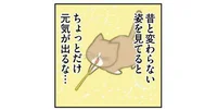 猫の楽しげな姿に元気が出る。でも攻撃してくるのはやめて！／鴻池剛と猫のぽんた ニャアアアン！（15）