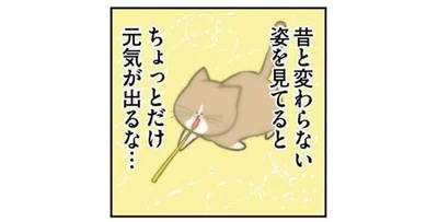 ちょっとだけ元気がでるな