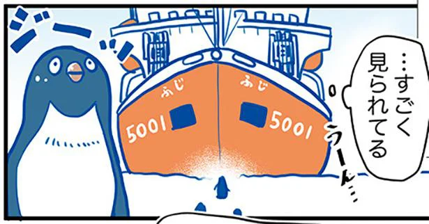 すごく見られてる……南極観測船「ふじ」の前にはなぜかペンギンが立ちはだかる／ふじと南極のなかまたち（1）