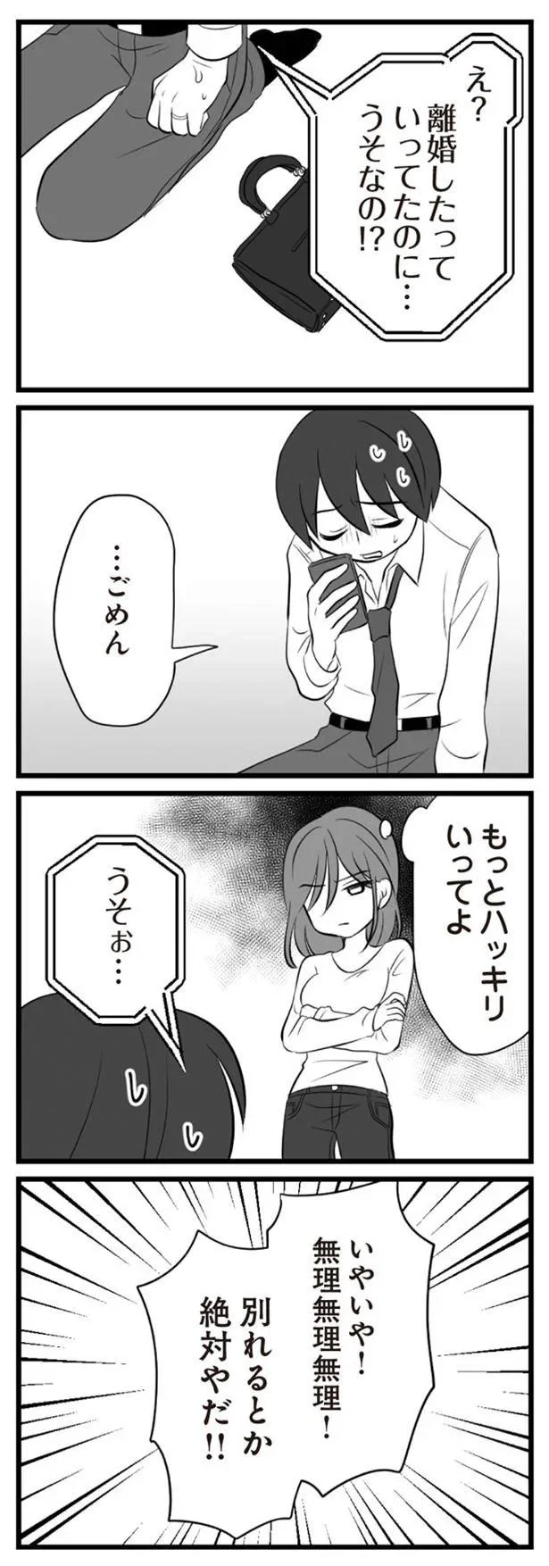   『夫は不倫相手と妊活中』より