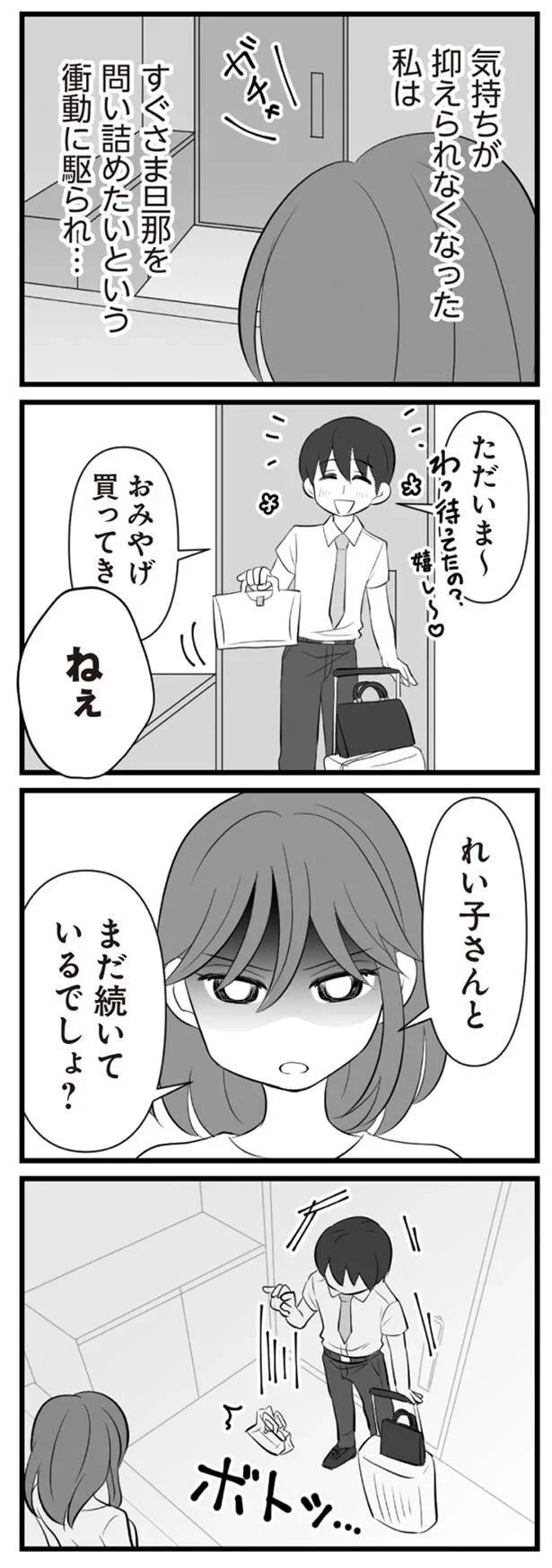   『夫は不倫相手と妊活中』より