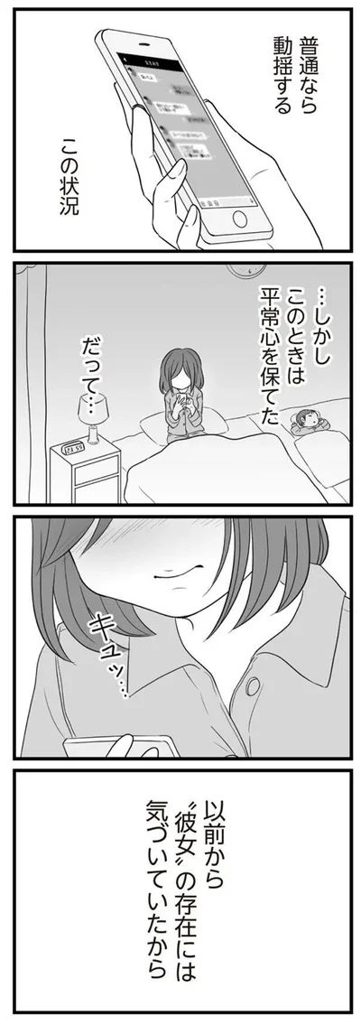   『夫は不倫相手と妊活中』より