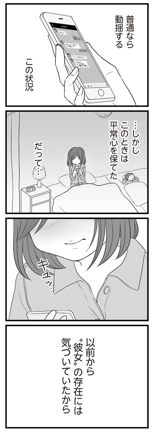   『夫は不倫相手と妊活中』より