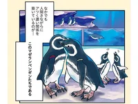 人間以上に複雑なペンギン関係！うぶすぎる2羽の恋模様／下町ペンギン物語（1）