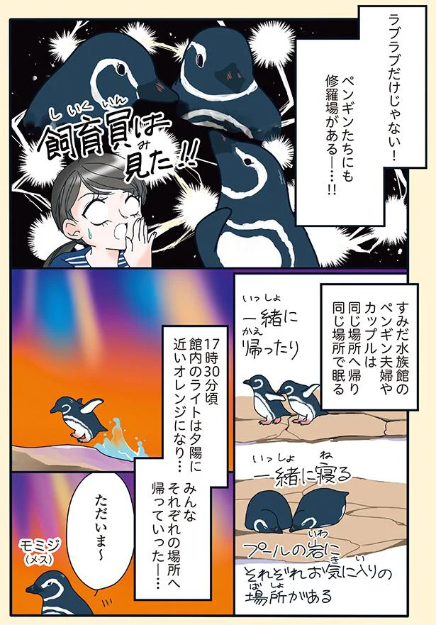 ペンギンたちにも修羅場がある