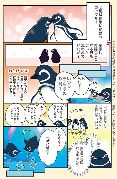 お近づきになるチャンス！
