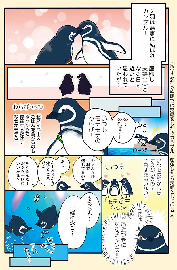 お近づきになるチャンス！