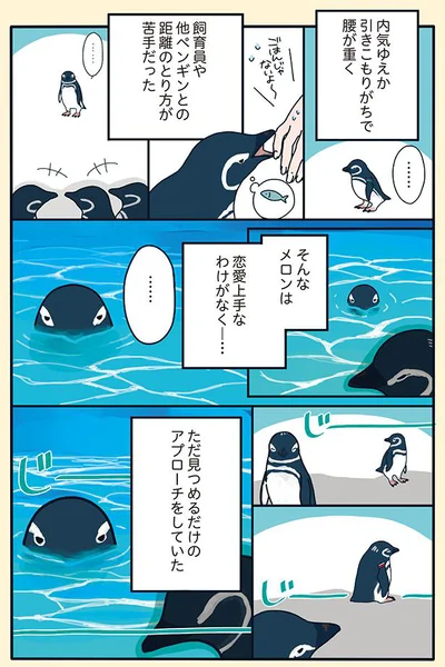恋愛上手なわけがなく…