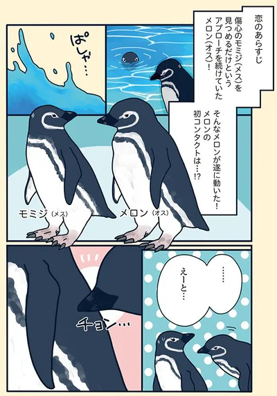 初コンタクトは…⁉