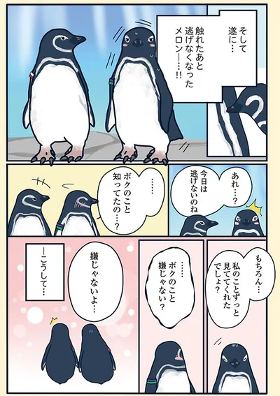 今日は逃げないのね