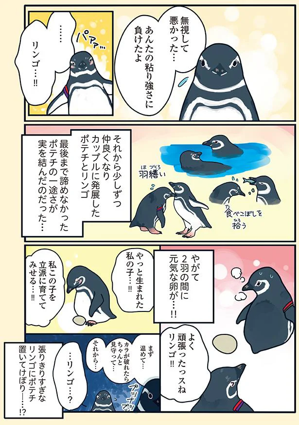 あんたの粘り強さに負けたよ