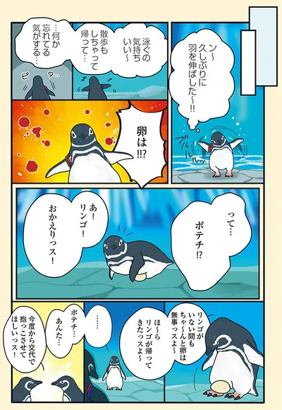 卵は⁉