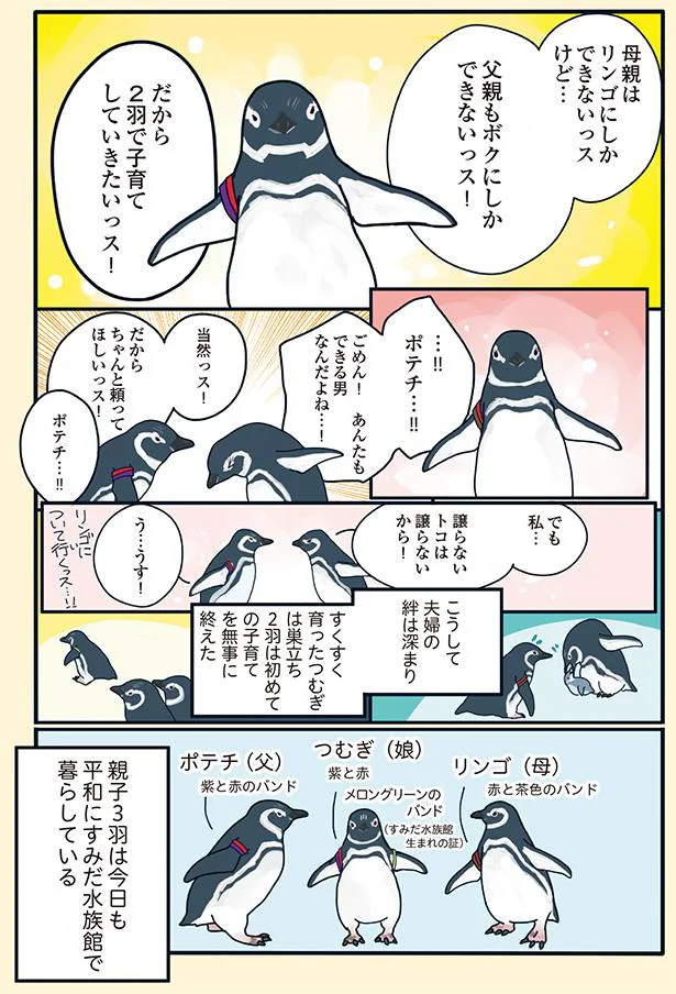 こうして夫婦の絆は深まり、無事子育てを終えた