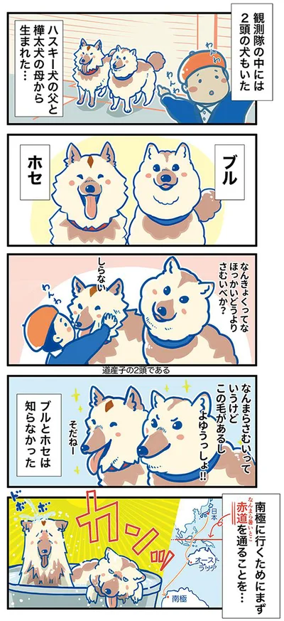 ブルとホセは知らなかった