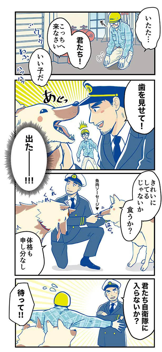 君たち自衛隊に入らないか？