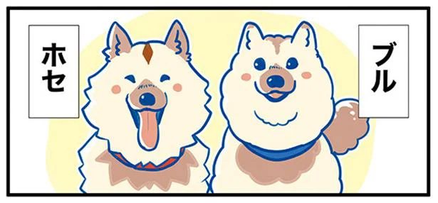 南極に犬を連れて行くのは何のため？ 南極観測船「ふじ」に同乗した2頭の犬／ふじと南極のなかまたち（2）