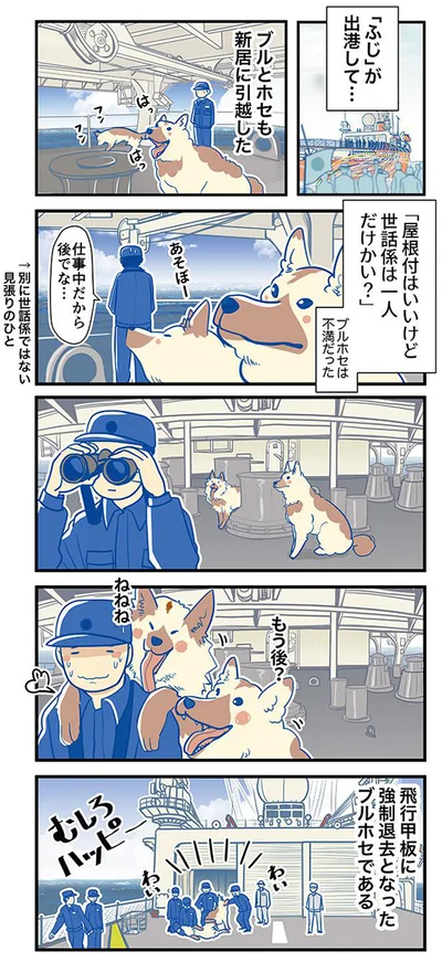 ブルホセは不満だった