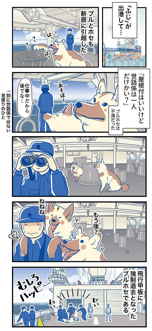 ブルホセは不満だった