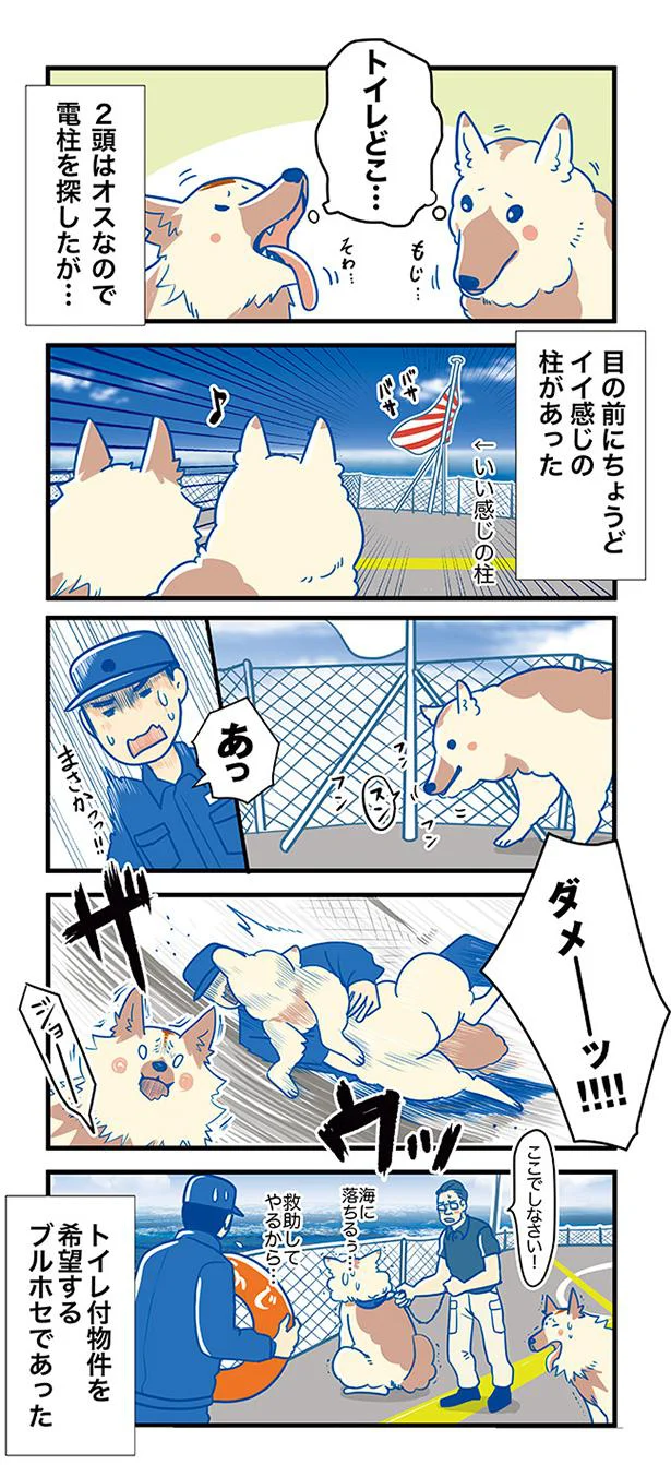 トイレ付物件を希望するブルホセであった