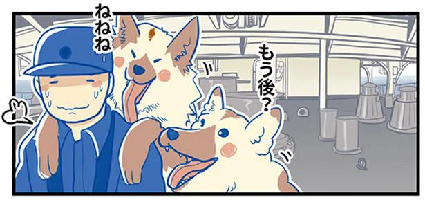 もう後?