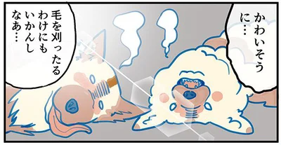 かわいそうに…