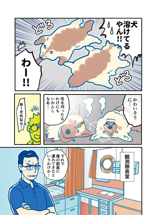 犬溶けてるやん!!