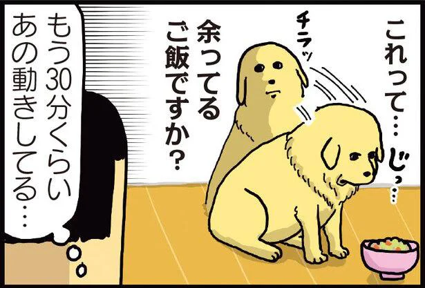 これ食べていいやつですか 他の子が食べなかったごはんにすごい視線 まめきちまめこニートの日常 こまちとタビ 2 レタスクラブ