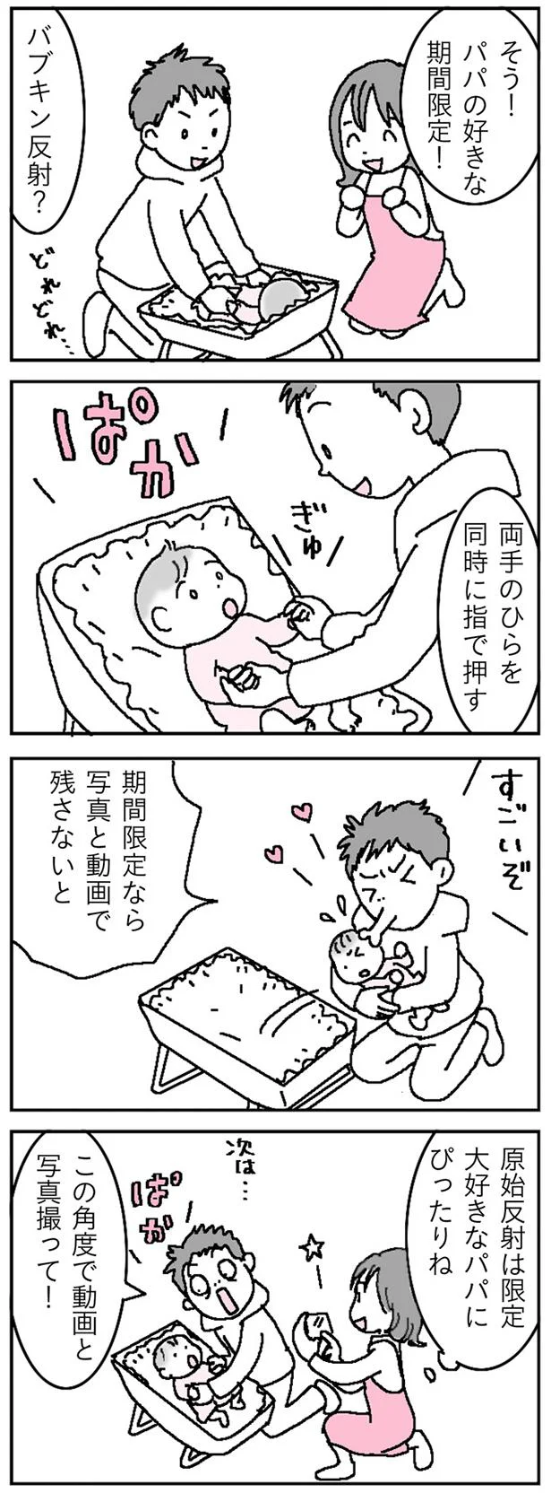 バブキン反射？