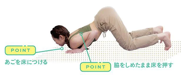 あごが床についたら、再びゆっくりと上半身を起こしていく