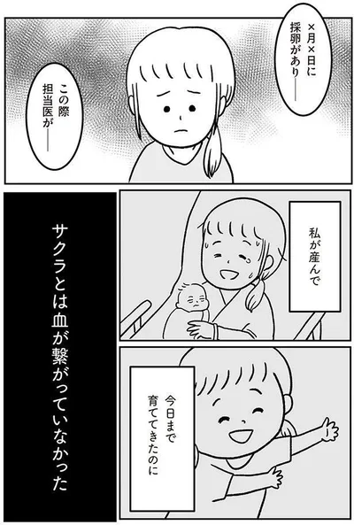 『うちの子、誰の子？ もしもわが子が取り違え子だったら』より