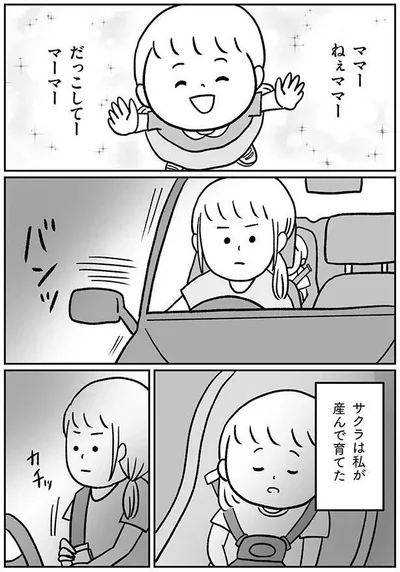 『うちの子、誰の子？ もしもわが子が取り違え子だったら』より