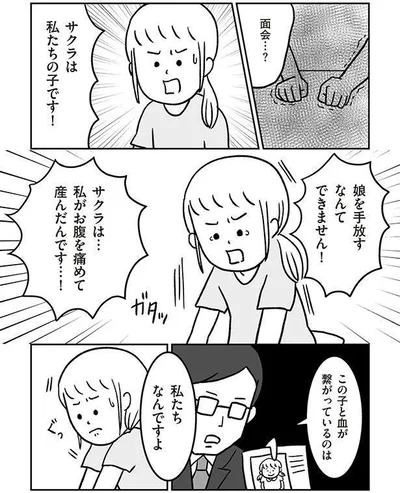 『うちの子、誰の子？ もしもわが子が取り違え子だったら』より