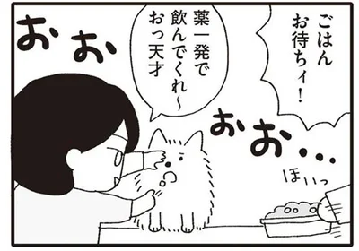 ごはんお待ちィ！