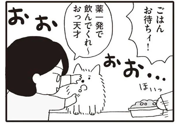ごはんお待ちィ!