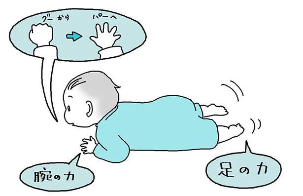 今までグーに曲げていることの多かった赤ちゃんの指が、パーの形に