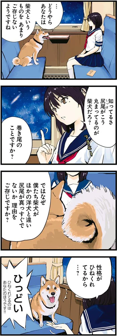 尻尾がこう丸まってるのが柴犬だろ？