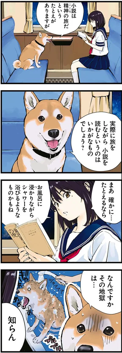 小説は精神の旅