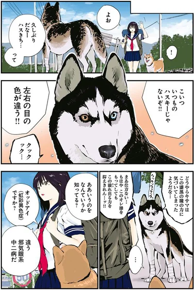いつものハスキーじゃないぞ！！