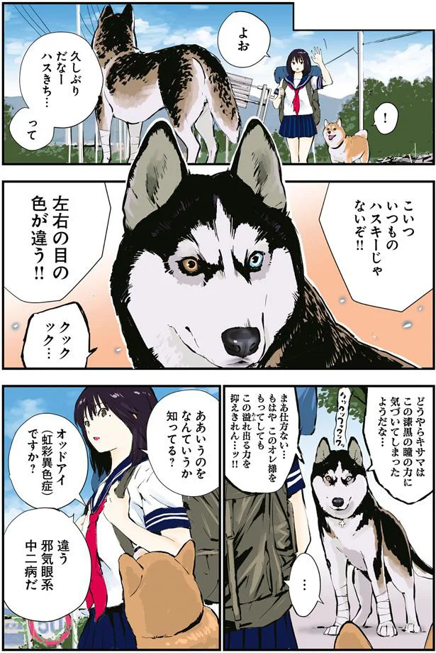 いつものハスキーじゃないぞ！！